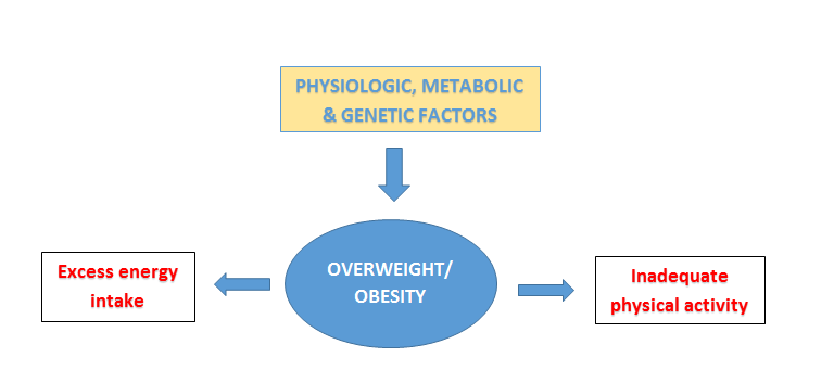 Overweight & Obesity aetiology: Unraveling the Complex Causes of Overweight in the Current Scenario