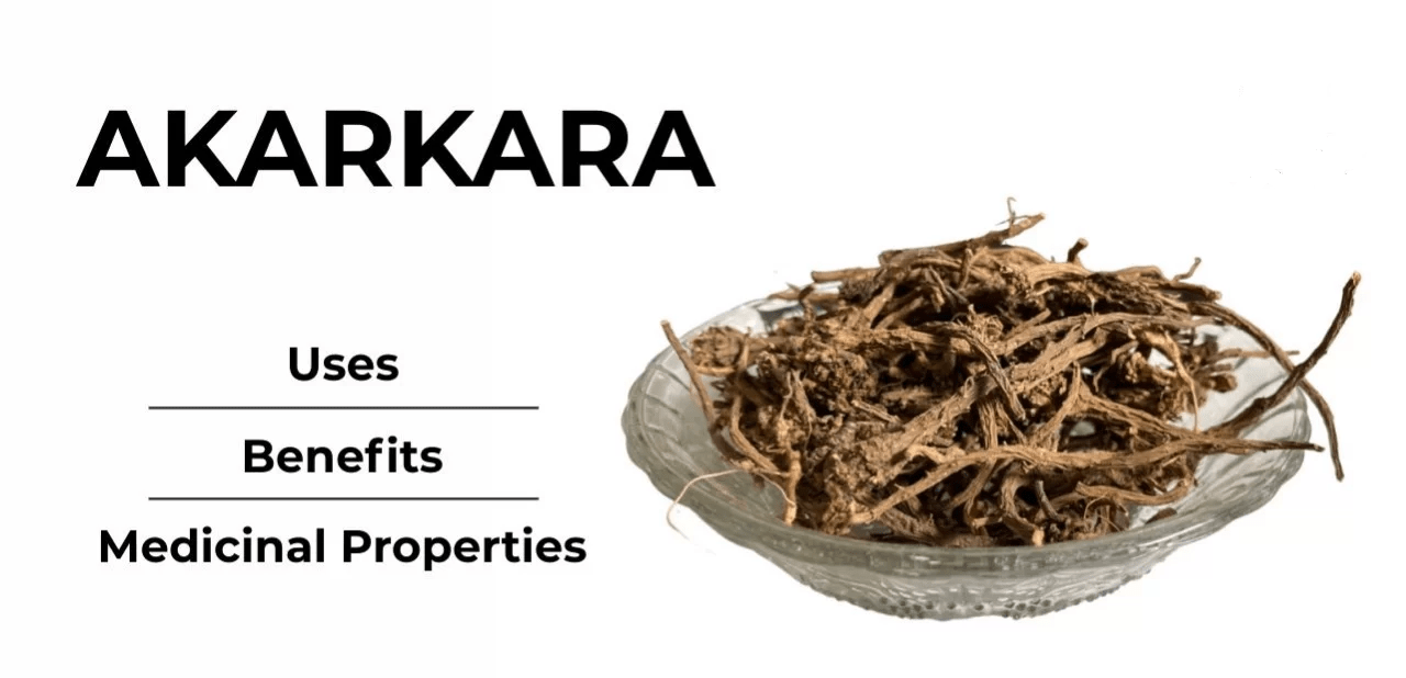 Akarkara (Pellitory): Amazing Facts, Nutritional Value, Health Benefits & Side Effects