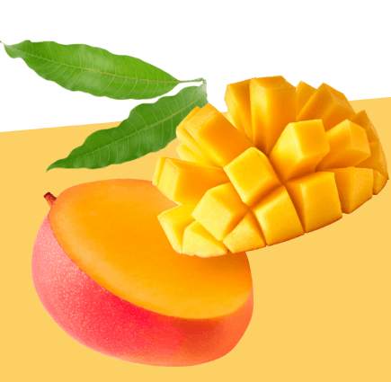 Can Diabetic person eat the mango?