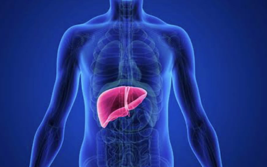 Liver: Life is not possible without liver. Know the reasons.