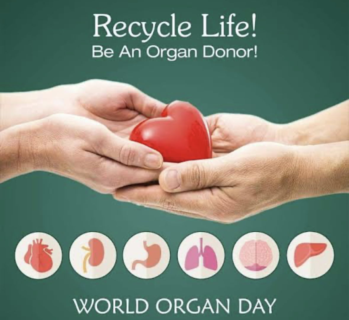 World Organ Donation Day: Who Can Donate, How to donate, Which organ to donate, Why we need organ donation, NGO for Organ Donation in India