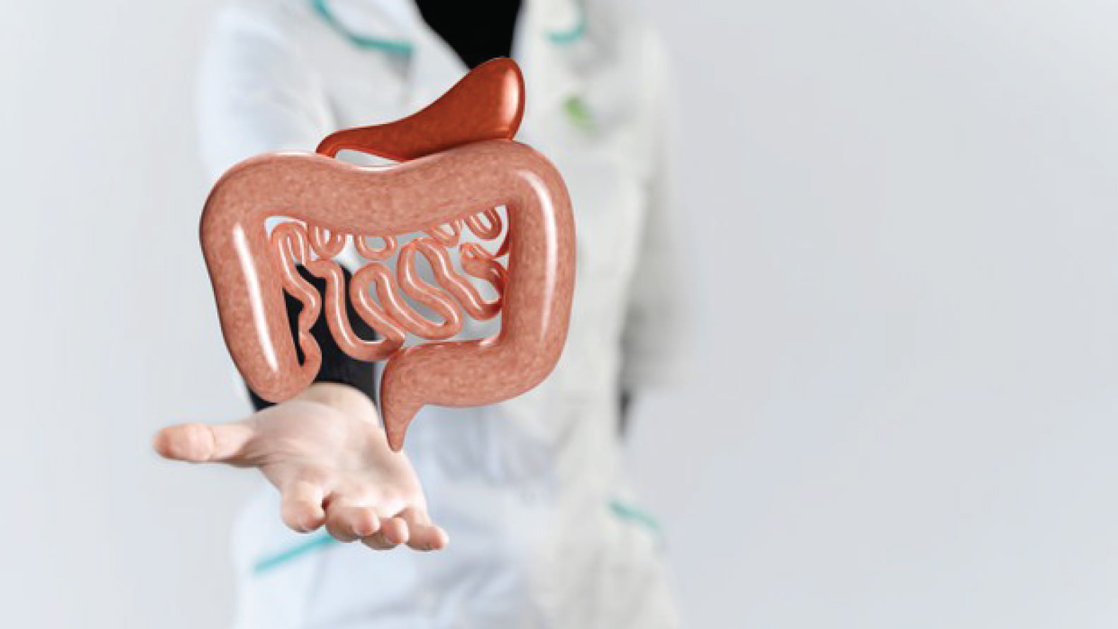 a doctor's hand showing fake model of human digestive system
