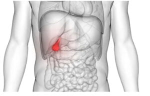 Gallbladder Location